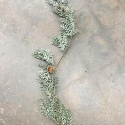 Something Blue Wedding Audrey's 6' Frosted Boxwood Garland