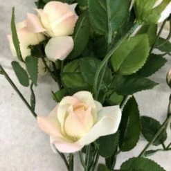 Something Blue Floral Floral Blush/White/Green Size 20