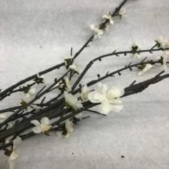 Something Blue DECOR Branch Floral Brown/ivory Size 4ct FLORAL