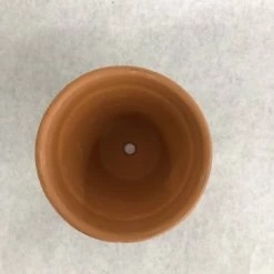 Something Blue Container Size 4"x4.5" Clay Terracotta CONTAINER