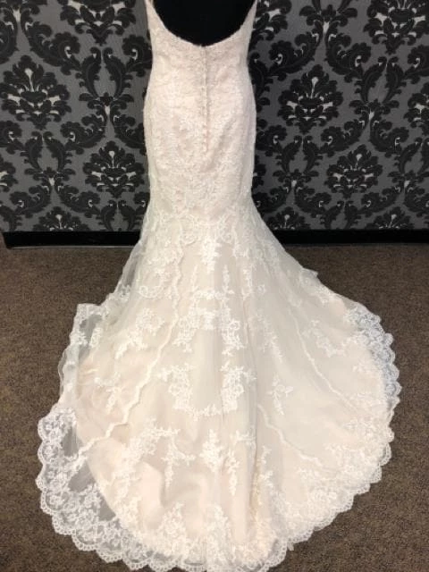 Something Blue Stella York 6220 SPENCER Women's Wedding Dress Lace Ivory/Champagne WEDDING DRESSES 6 Something Blue Stella York 6220 SPENCER Women's Wedding Dress Lace Ivory/Champagne WEDDING DRESSES