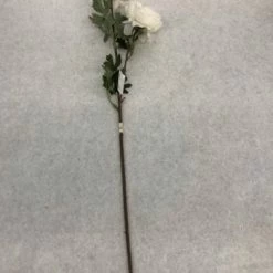 Something Blue Ashland Rose Floral Ivory Size 27