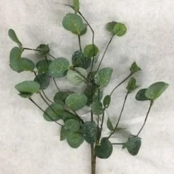 Something Blue Wedding Sullivan's Iced Eucalyptus Pick THE PARLOUR