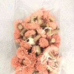 Something Blue Sola Flowers Place Card Holder Sola Flowers/Cork Pink Size 55ct FLORAL DECOR