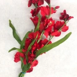 Something Blue DECOR Gladiolus Floral Red Size 4ct FLORAL