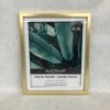 Something Blue DECOR Frame Size 8"x10" Plastic Gold SIGNS