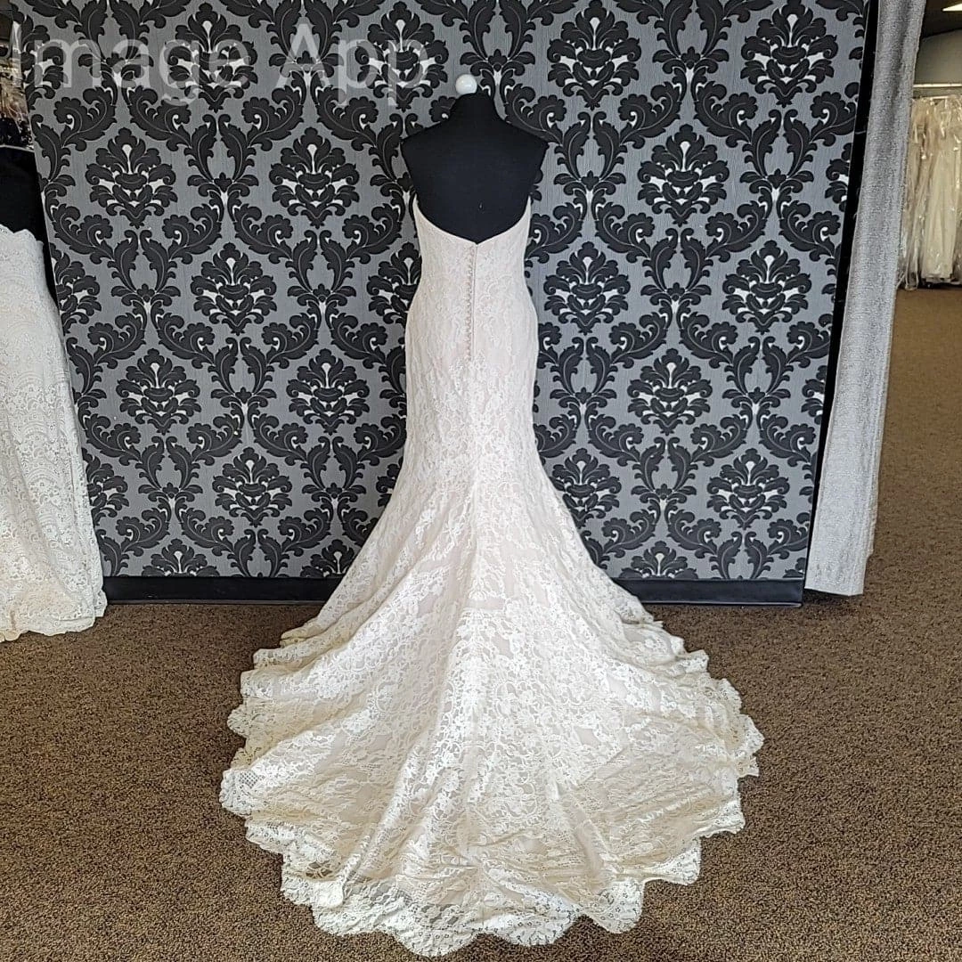 Something Blue Maggie Sottero MS8MZ494 Philomena Wedding Dress Lace Blush Size 10 WEDDING DRESSES 8 Something Blue Maggie Sottero MS8MZ494 Philomena Wedding Dress Lace Blush Size 10 WEDDING DRESSES