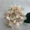 Something Blue Blush Hydrangea Stem Size 24"