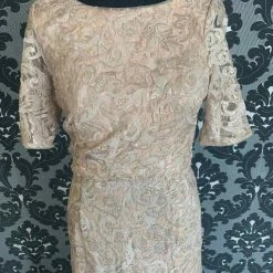 Something Blue FORMAL/MOTHER'S DRESSES Adrianna Papell Formal Bless Lace Blush Size 14 FORMAL DRESSES