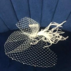 Something Blue Wedding Women's Veil Feather Ivory Cage VEILS