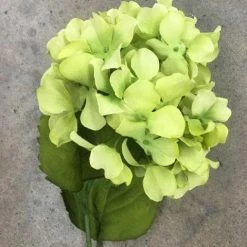 DECOR 27" Green Hydrangea Ashland Stem