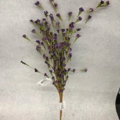 Something Blue DECOR Bright Ideas Floral Dried Floral Purple/Brown Size 23" FLORAL