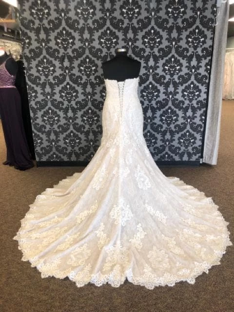 Something Blue WEDDING DRESSES Essense Of Australia D2556CRLU Women's Wedding Dress Lace 7 Something Blue WEDDING DRESSES Essense Of Australia D2556CRLU Women's Wedding Dress Lace