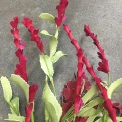 Something Blue Wedding Floral Flocking Dark Pink Size 3ct FLORAL DECOR