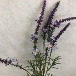 Something Blue Ashland Lavender Floral Lavendar Size 28.5