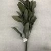 Something Blue Ashland Lamb's Ear Greenery Green Size 24" FLORAL