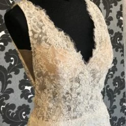 Something Blue WEDDING DRESSES Justin Alexander JEAN 88077 Wedding Dress Lace/Beading Ivory/Nude