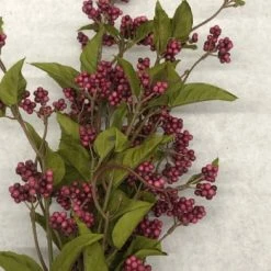 Something Blue Ashland Branch Floral Burgundy Size 4ct FLORAL