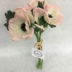 Something Blue Sullivan's Floral Blush Size 5ct Anemone THE PARLOUR