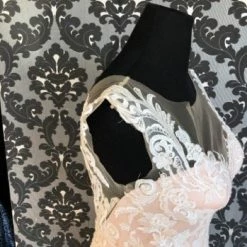 Something Blue WEDDING DRESSES Casablanca 2382 KARLEE Women's Wedding Dress Lace Blush/ivory 10 Something Blue WEDDING DRESSES Casablanca 2382 KARLEE Women's Wedding Dress Lace Blush/ivory