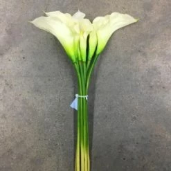 Something Blue Wedding DECOR Lily True Touch Ivory/Green 6ct