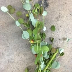 Something Blue Sullivan's Garland Green Size 6ft 2382GD