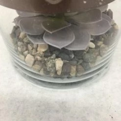 Something Blue Wedding Partylite Centerpiece Glass/Metal/Succulent/Rock Size 11" CENTERPIECES DECOR