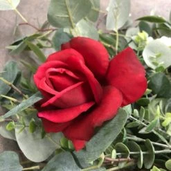 Something Blue DECOR Swag Size 3' Floral Green/Red/White FLORAL