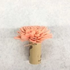 Something Blue Sola Flowers Place Card Holder Sola Flowers/Cork Pink Size 55ct FLORAL DECOR