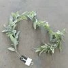 Something Blue Ashland Garland Lamb's Ear Green Size 6 Ft GARLAND DECOR