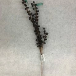 Something Blue Picks Floral Hobby Lobby Wine/Brown Size 2 Ct FLORAL DECOR