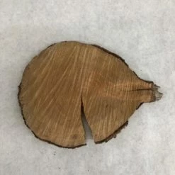 Something Blue Wood Cookie Wood Brown Size Approx 8" WOOD DECOR