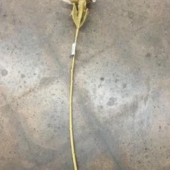 Something Blue Wedding DECOR 27" Ivory Flowers Fabric Peony