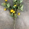 Something Blue Yellow Lemon Branch 27"