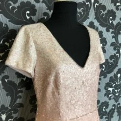 Something Blue FORMAL/MOTHER'S DRESSES Adrianna Papell Women's Formal Sequin Blush Size 8 Floor Length