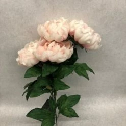 Something Blue Peony Floral Blush Size 16" FLORAL