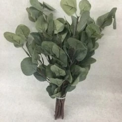 Something Blue Branch Eucalyptus Green Size 5ct FLORAL DECOR
