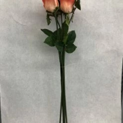 Something Blue Coral Rose Stem 5ct