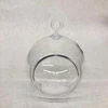 Something Blue Terrarium Plastic Clear Size 4.5" FLORAL