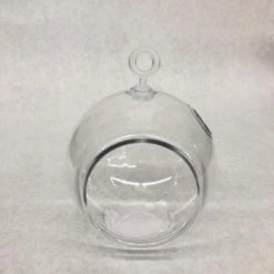 Something Blue Terrarium Plastic Clear Size 4.5" FLORAL