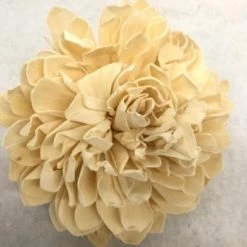 Something Blue DECOR Sola Flower Wood Ivory Size 6" FLORAL
