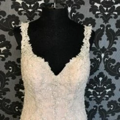 Something Blue WEDDING DRESSES Stella York 6401DM Women's Wedding Dress Beaded Ivory/Champagne 10 Something Blue WEDDING DRESSES Stella York 6401DM Women's Wedding Dress Beaded Ivory/Champagne