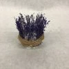 Something Blue DECOR Candle Holder Dried Floral/Glass Purple Size 3" CANDLES