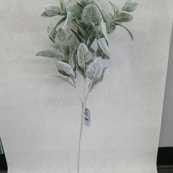 Something Blue Lambs Ear Frosted White/ Green DECOR