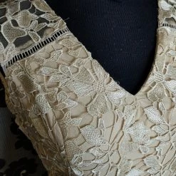 Something Blue FORMAL/MOTHER'S DRESSES Adrianna Papell Formal Size 14 Lace Nude