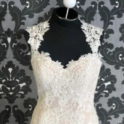 Something Blue WEDDING DRESSES Justin Alexander 88006 Wedding Dress Lace Ivory/Nude Size 12