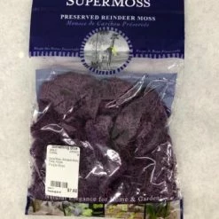 Something Blue Reindeer Moss Floral Purple FLORAL DECOR