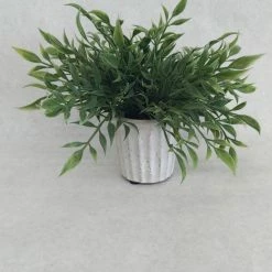 Something Blue Plant Size 7" Greenery Gray/Green CENTERPIECES