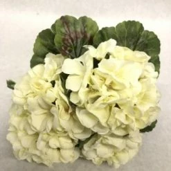 Something Blue Hydrangea Floral Ivory Size 4ct FLORAL