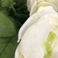 Something Blue Floral Size 14" Floral Ivory/Green FLORAL